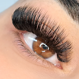 Pre Made volume Lashes