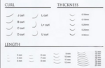 BL Lashes Mink Lash 