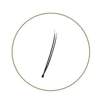 Blink  Flare Lashes Single