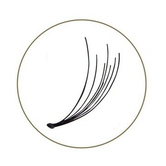 Blink  Flare Lashes Regular