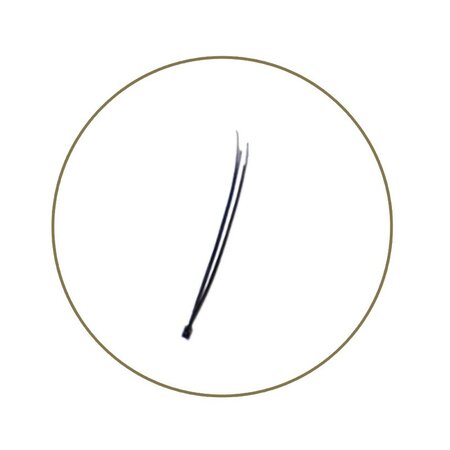 Blink Flare Lashes Single