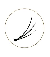Blink Flare Lashes Point Accent