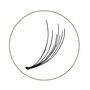 Blink  Flare Lashes Regular