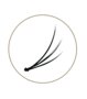 Blink  Flare Lashes Point Accent 